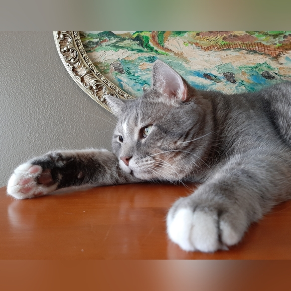 Meet your Posher - Picture 7 of 9